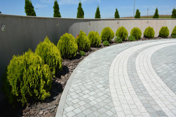 Reasons to Select Us for Your Driveway Paving Requirements in Port Carbon, PA